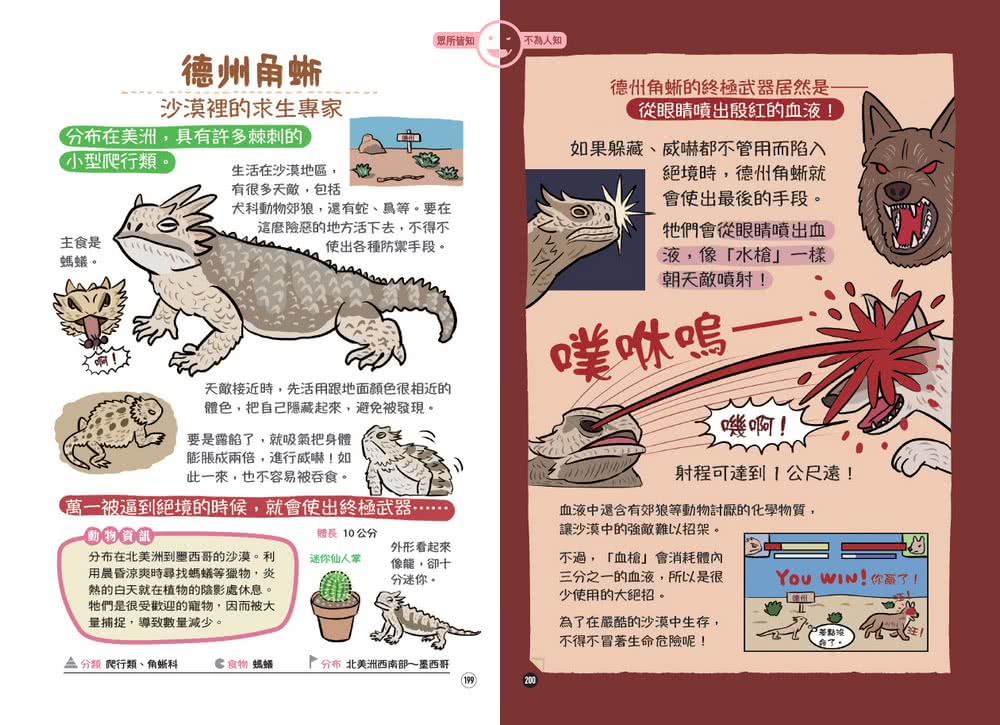 表裡不一的動物超棒的 圖鑑 Momo購物網