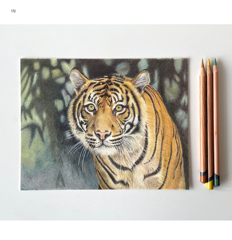 色鉛筆的基本：從選筆、色彩、筆觸到作品 自然風手繪的必修課