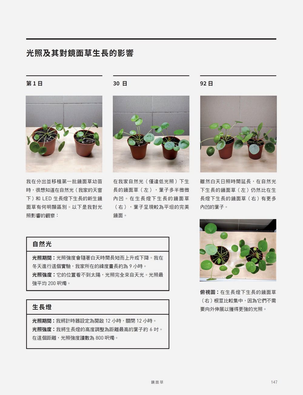 室內觀葉植物栽培日誌：IG園藝之王的綠植新手指南