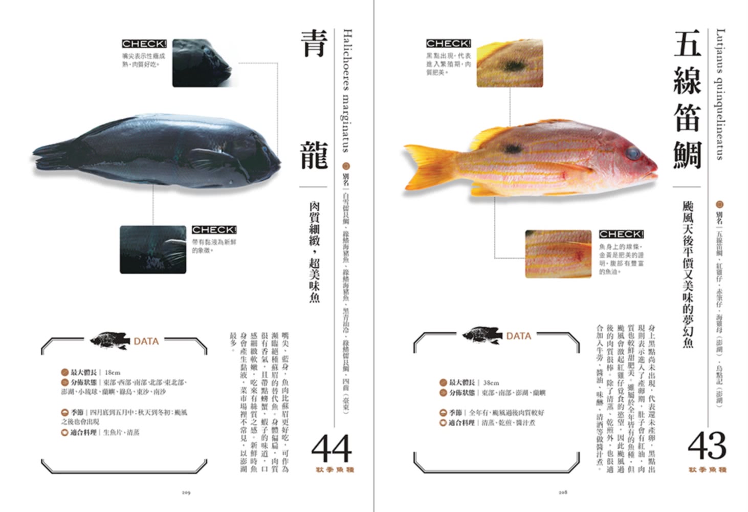 餐桌上的魚百科：跟著魚汛吃好魚，從挑選、保存、處理、熟成到料理的全食材事典（典藏增訂版）