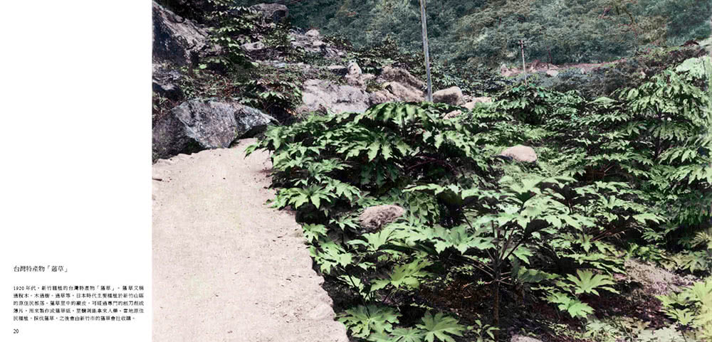 閃耀台灣六：台灣自然生態1860-1960