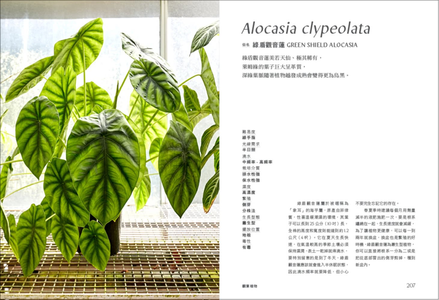 室內植物圖鑑：觀葉×多肉，從品種、挑選到照護，輕鬆打造植感生活