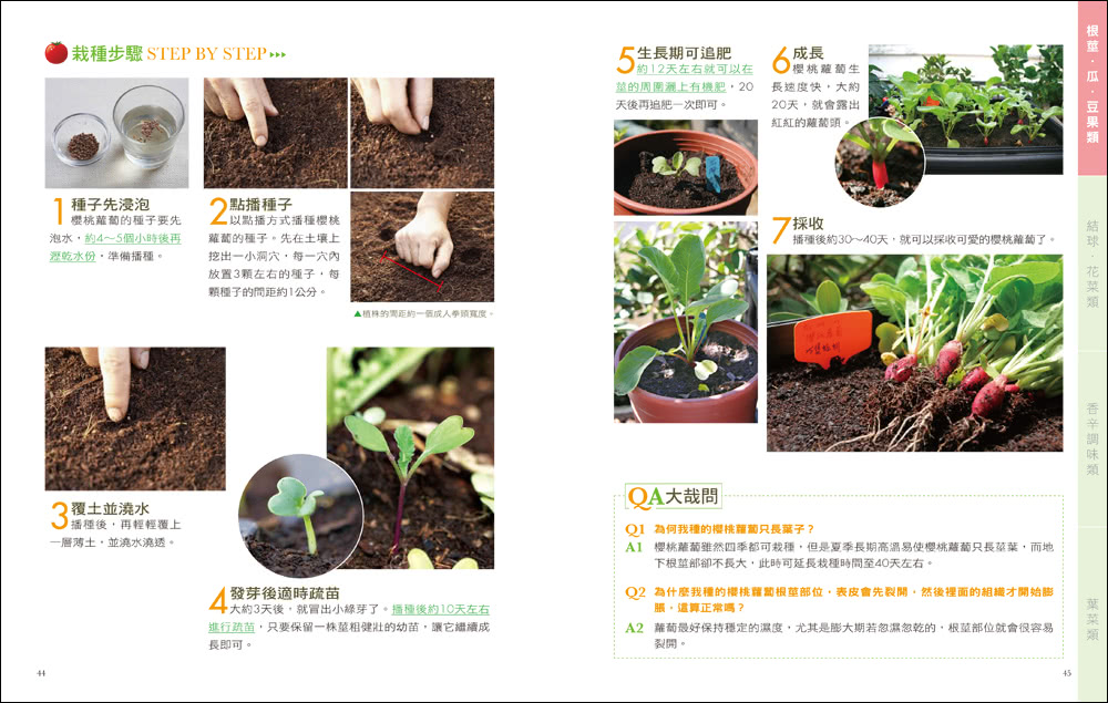 安心蔬菜自己種（暢銷封面版）：陽台菜園「有機栽種」全圖解！