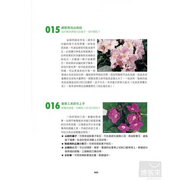 植物健康診療室Q&A300（2011全新封面改版上市）