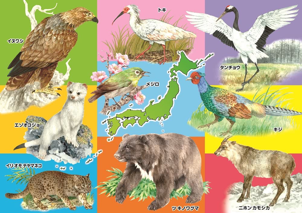 日本KUMON TOY 益智拼圖－Step5發現世界的動物