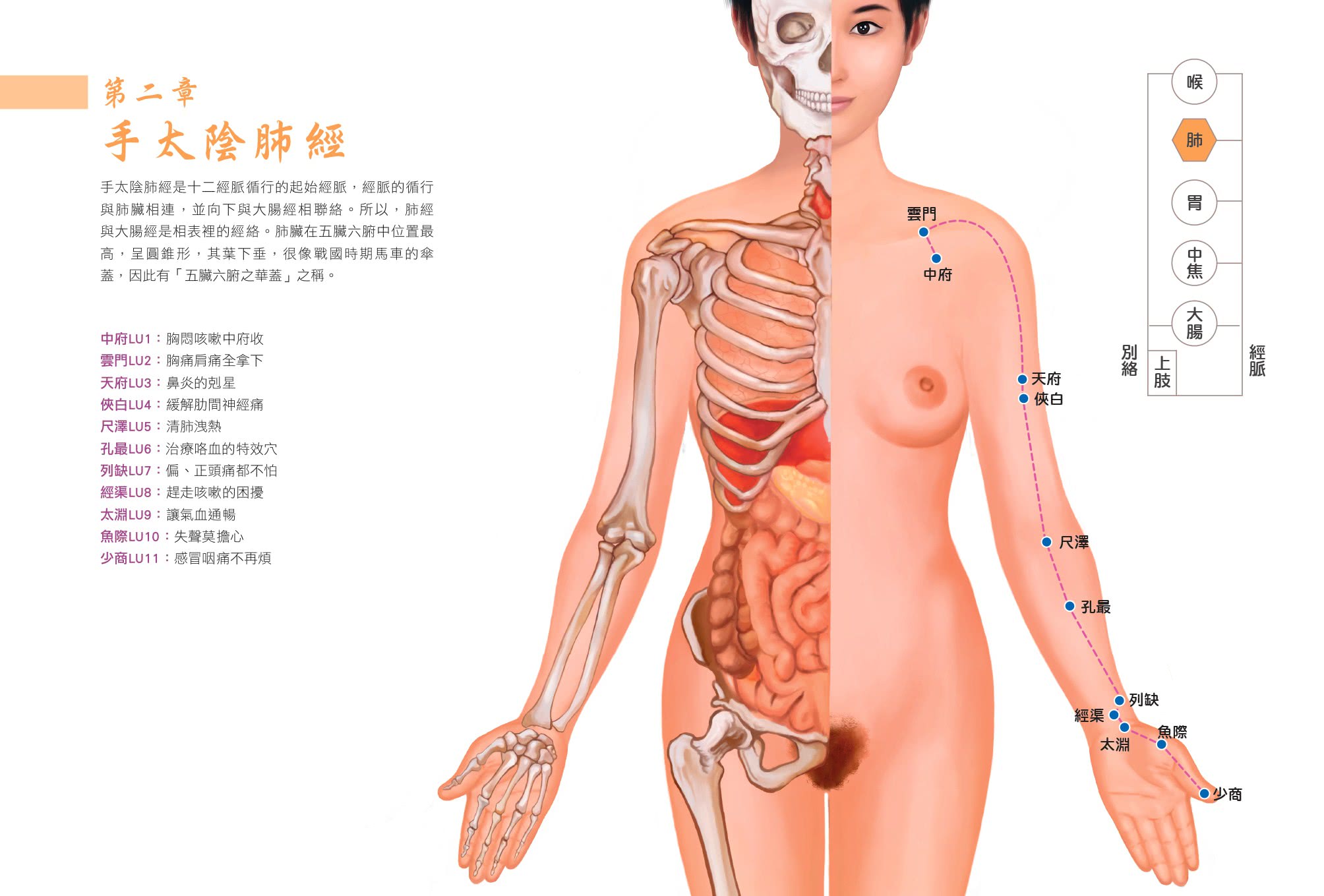 中醫婦科對症調理按摩大全：一本女性專屬的全身經絡穴位保養圖典