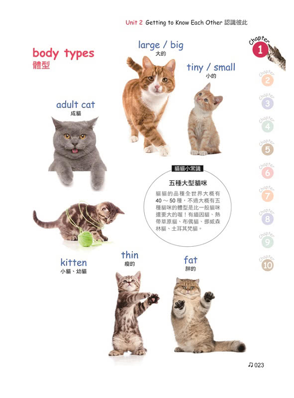 用貓咪的一天學英文：史上最療癒的英文學習書（附1CD+彩色貼紙+彩色明信片）