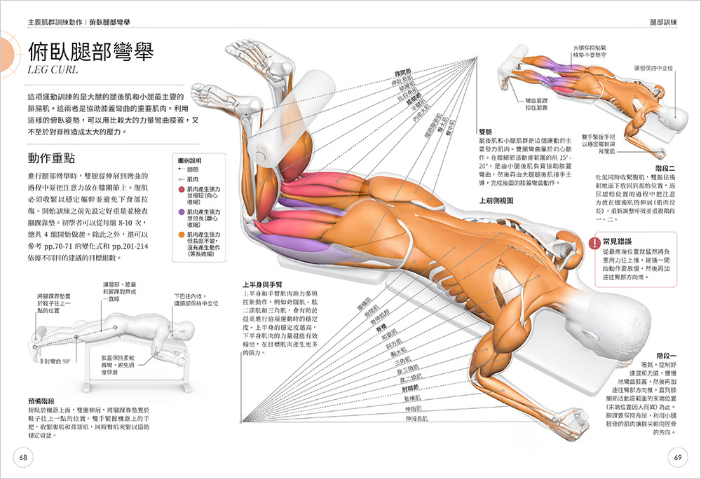 肌力訓練科學解析 － 從解剖學與生理學的觀點打好根基