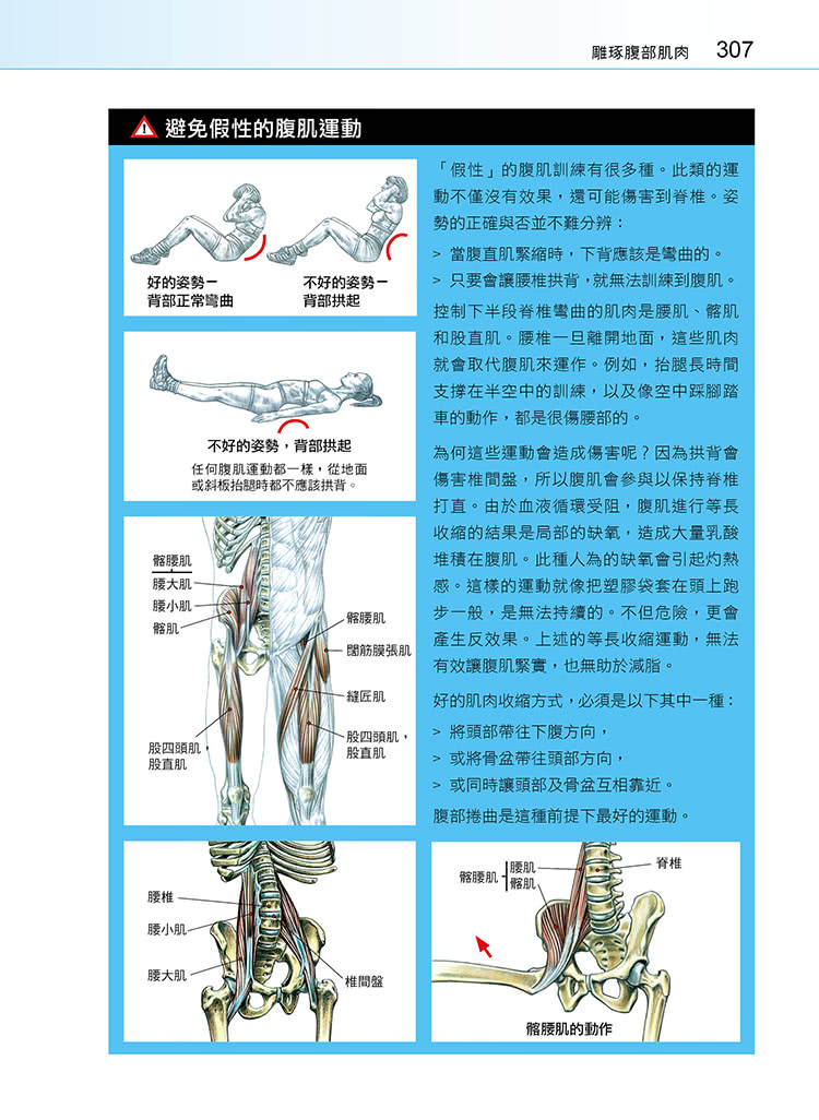 進階肌力訓練解剖聖經（附健美肌肉解剖圖海報）