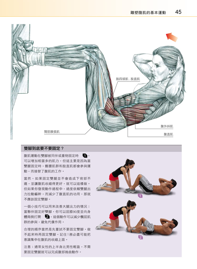 腹肌訓練解剖聖經 － 解析腹部肌群感受肌肉徵召， 增進運動表現練出健美腰身