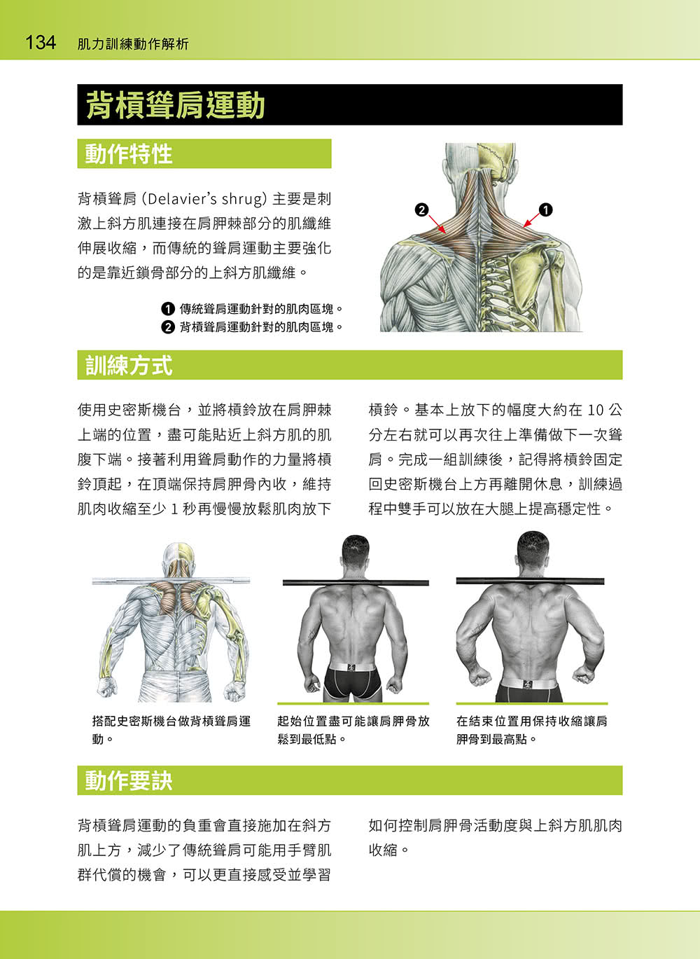 進階肌力訓練解剖聖經 2 － 高手只做不說的關鍵檔案 （附 加大手繪肌肉解剖圖海報）