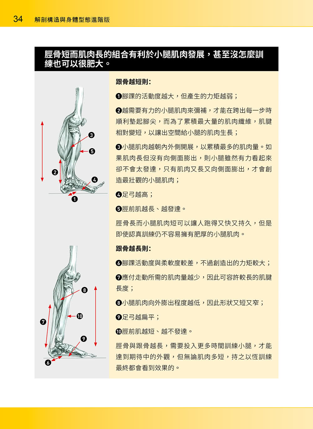 進階肌力訓練解剖聖經 2 － 高手只做不說的關鍵檔案 （附 加大手繪肌肉解剖圖海報）