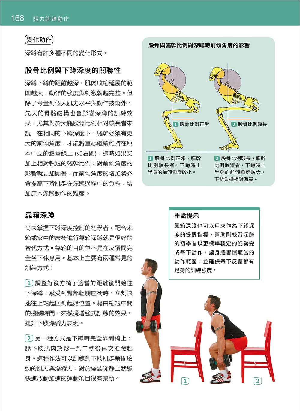 基礎肌力訓練解剖聖經 （附訓練動作肌群解剖圖海報）