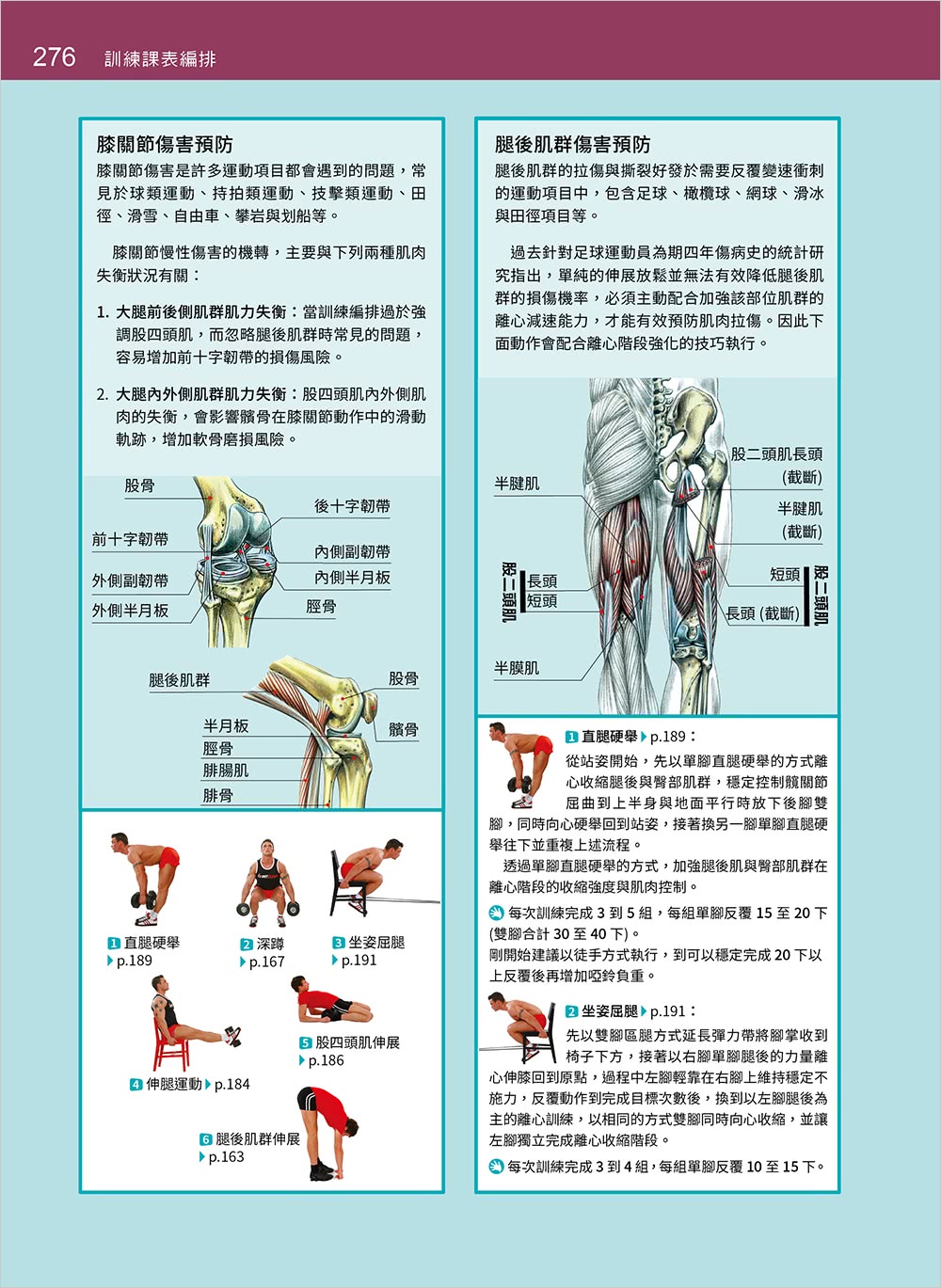 基礎肌力訓練解剖聖經 （附訓練動作肌群解剖圖海報）