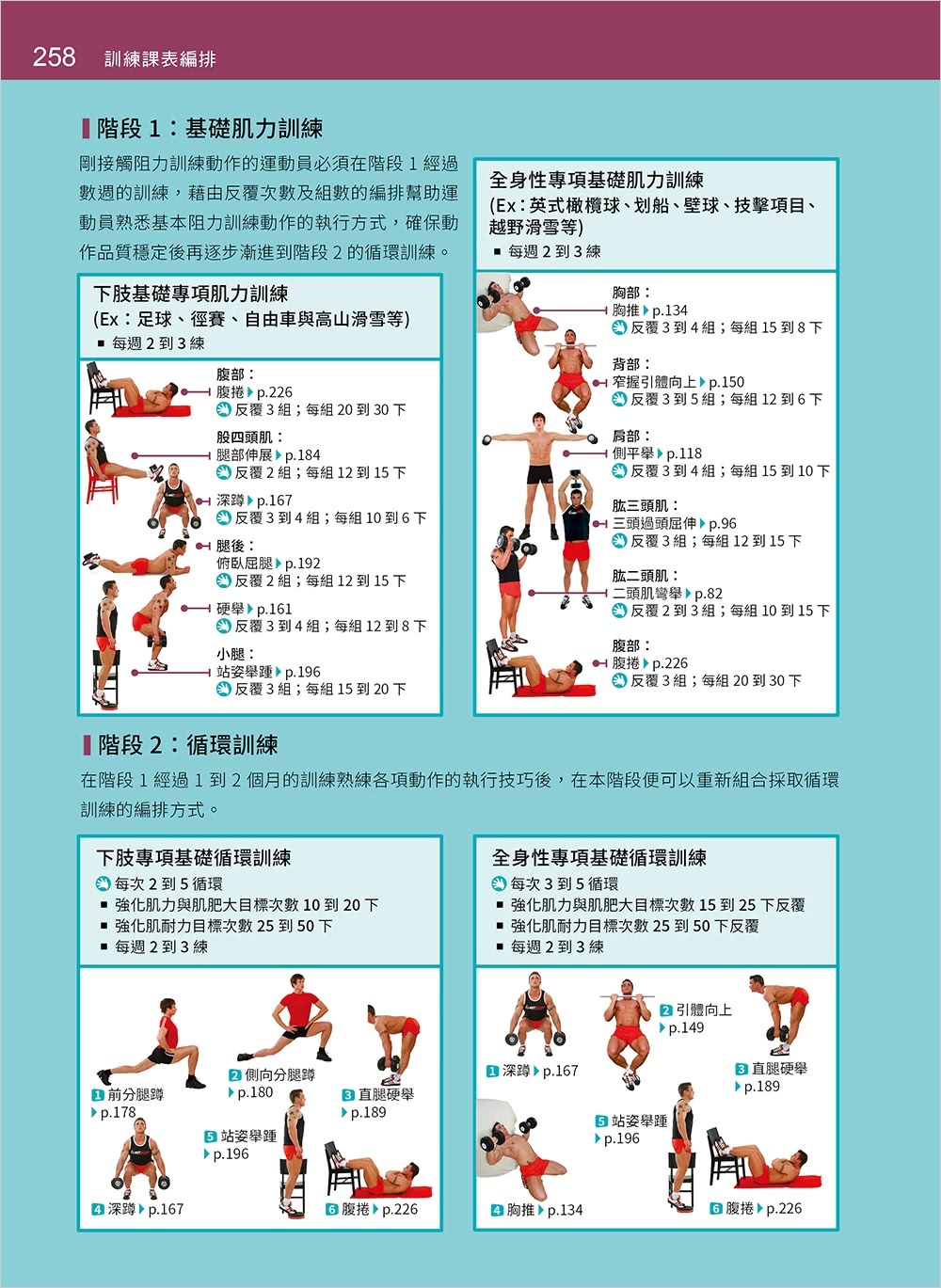 基礎肌力訓練解剖聖經 （附訓練動作肌群解剖圖海報）