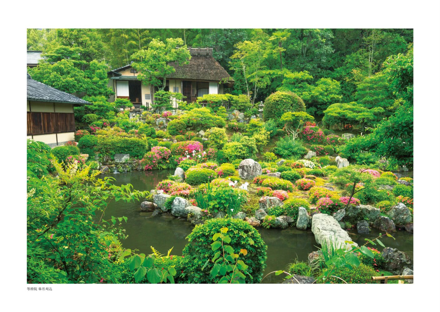 庭園設計師的京都名庭導覽：薈萃日式文化與美學的絕景庭園散步