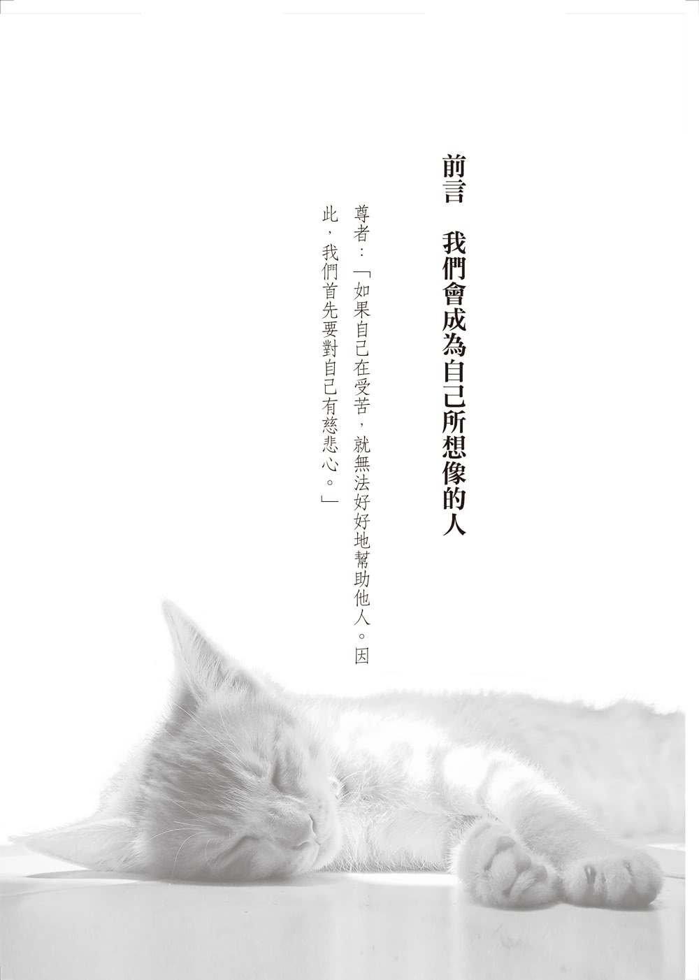 達賴喇嘛的貓5：喚醒內在小貓，點燃生命熱情，找回最純粹的幸福