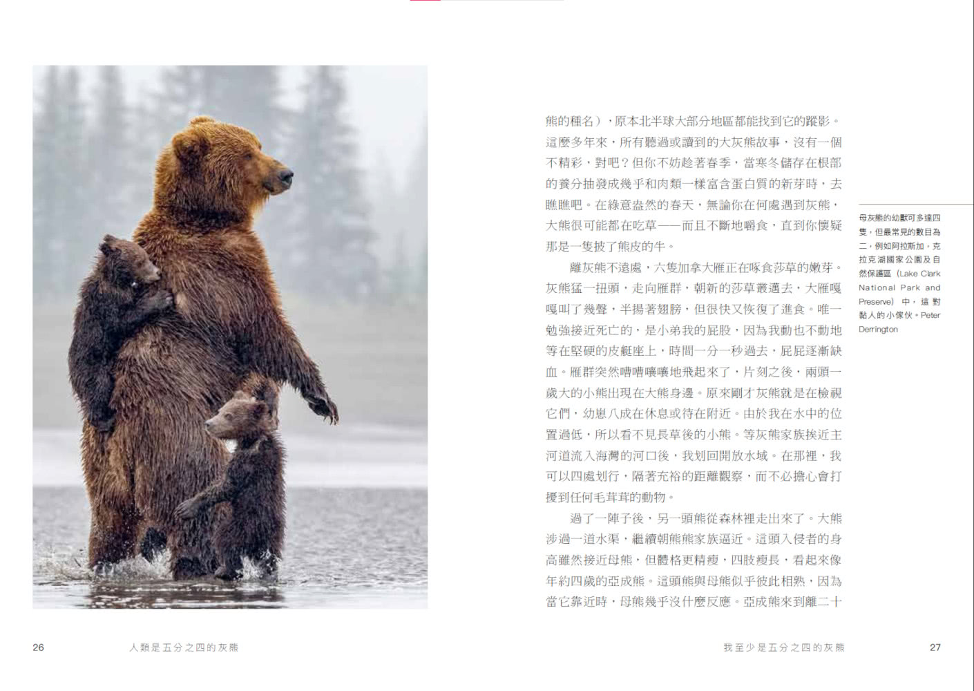 人類是五分之四的灰熊：拯救我們的自然新觀點【隨書附雙面書衣與熊相遇森林海報】
