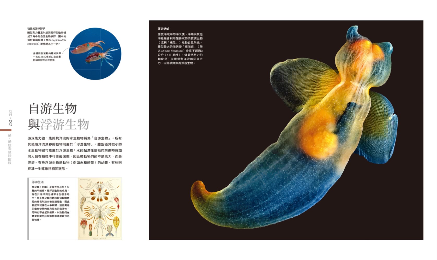 【首刷贈精美明信片】世界最美的動物圖鑑：微距×動態×深海攝影 用科學觀察360＋動物的特徵及演化過程