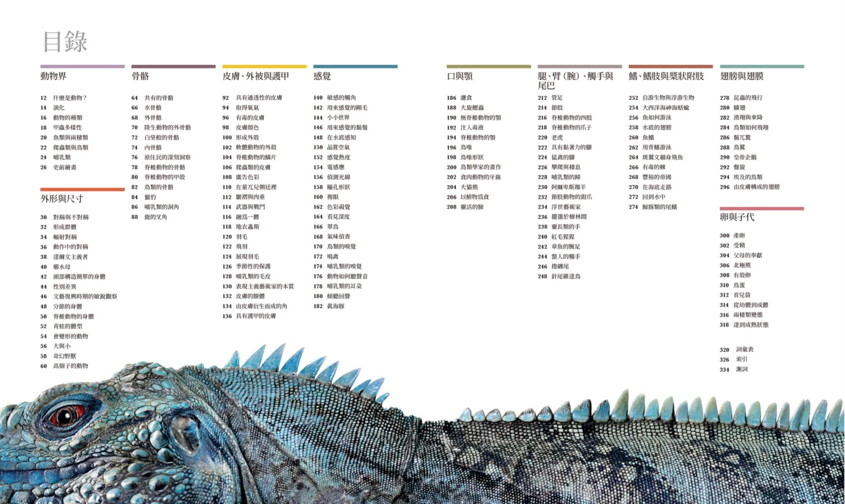 【首刷贈精美明信片】世界最美的動物圖鑑：微距×動態×深海攝影 用科學觀察360＋動物的特徵及演化過程