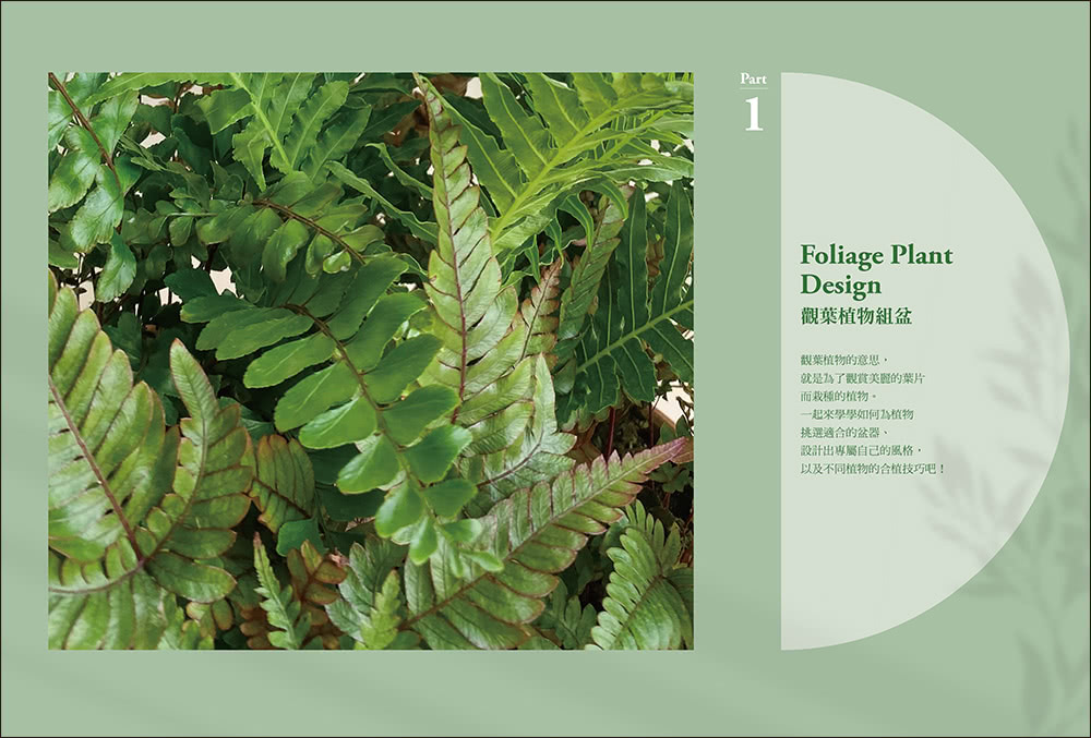 我的第一堂植栽組盆美學課：用最好養的「觀葉×多肉×苔蘚」植物 設計出58種改變空間氛圍的療癒系盆景