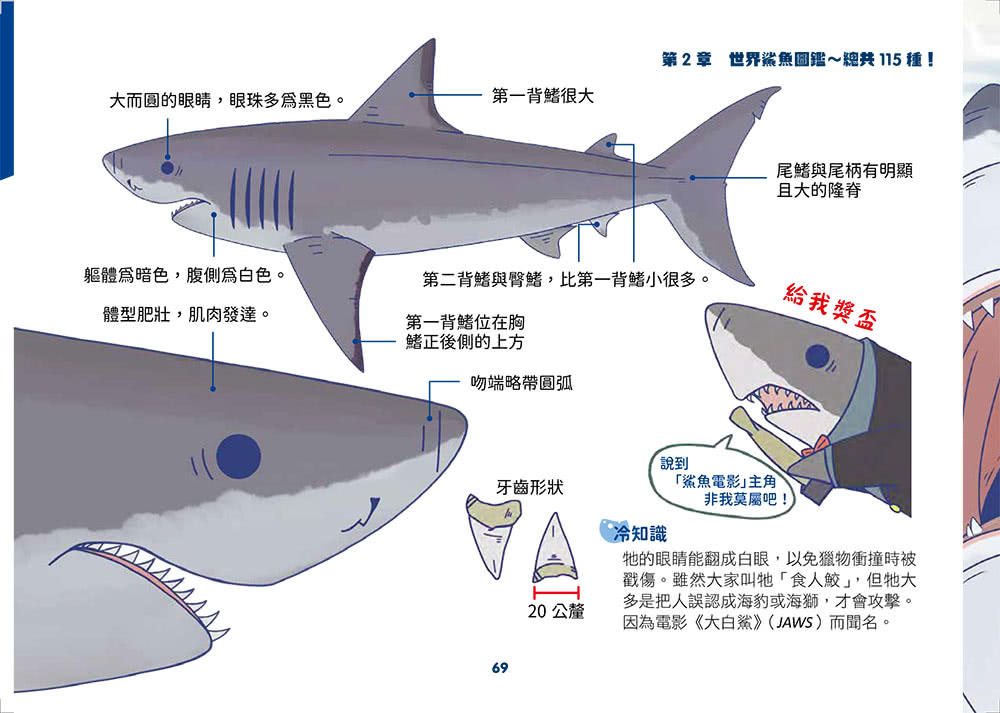 世界鯊魚大全――手繪125種史上最齊全鯊魚圖鑑