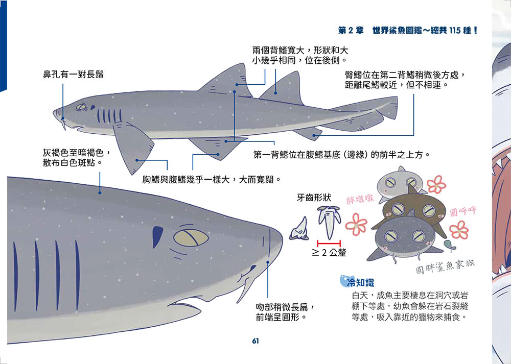 世界鯊魚大全――手繪125種史上最齊全鯊魚圖鑑