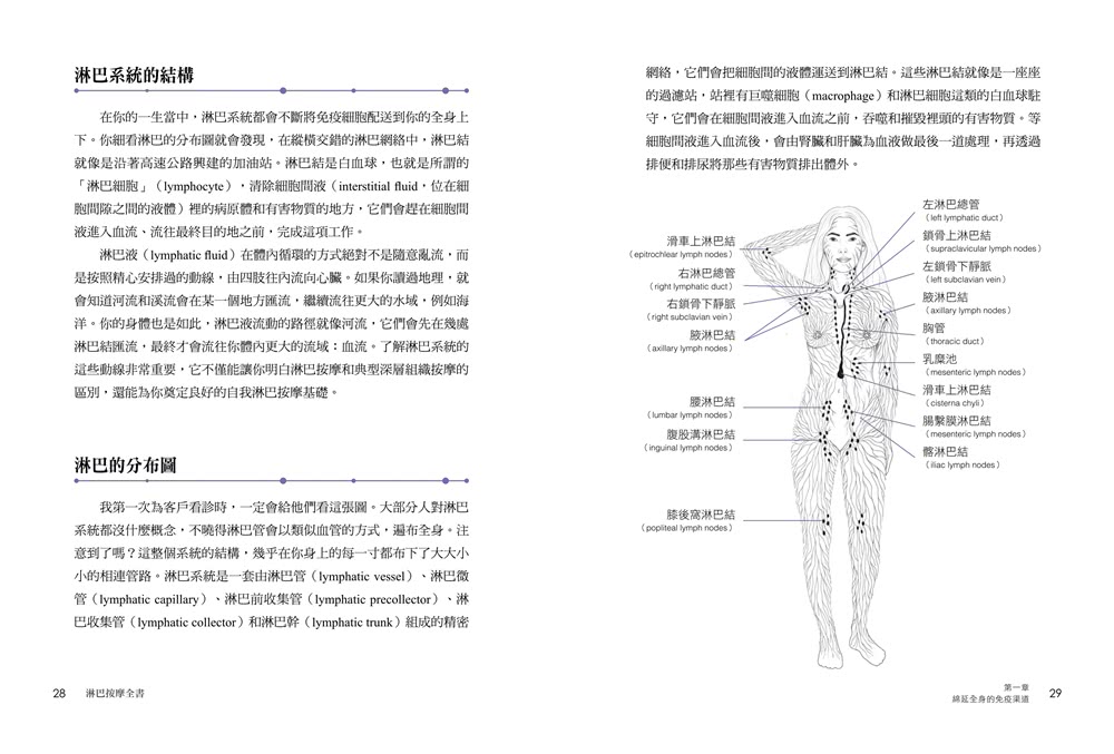 【徒手X圖解】淋巴水腫按摩全書：7大技法 x 25個常見問題 每天按摩3分鐘 身體輕盈、精神變好！