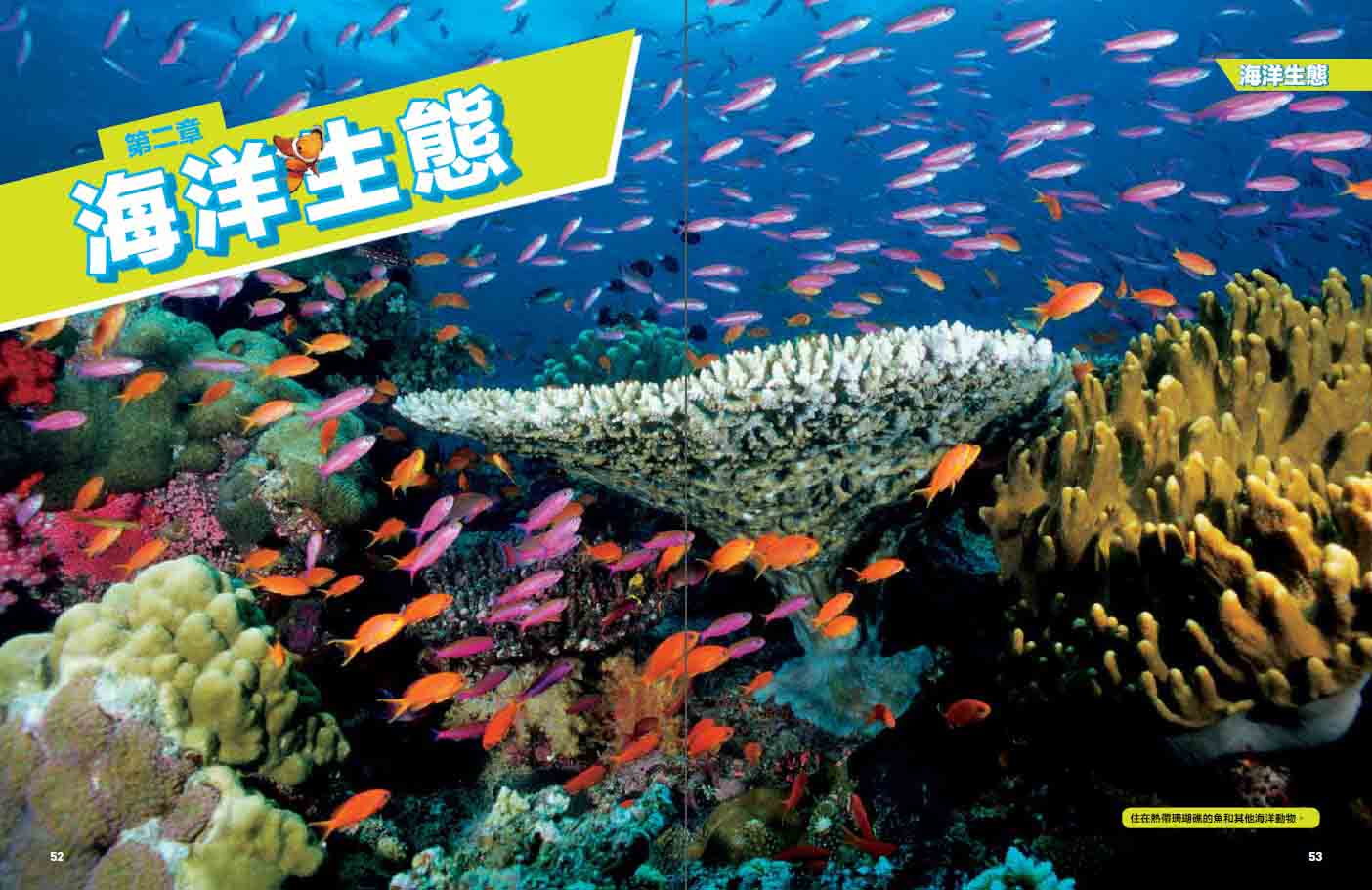國家地理 終極海洋百科（新版）：史上最完整的海洋大全