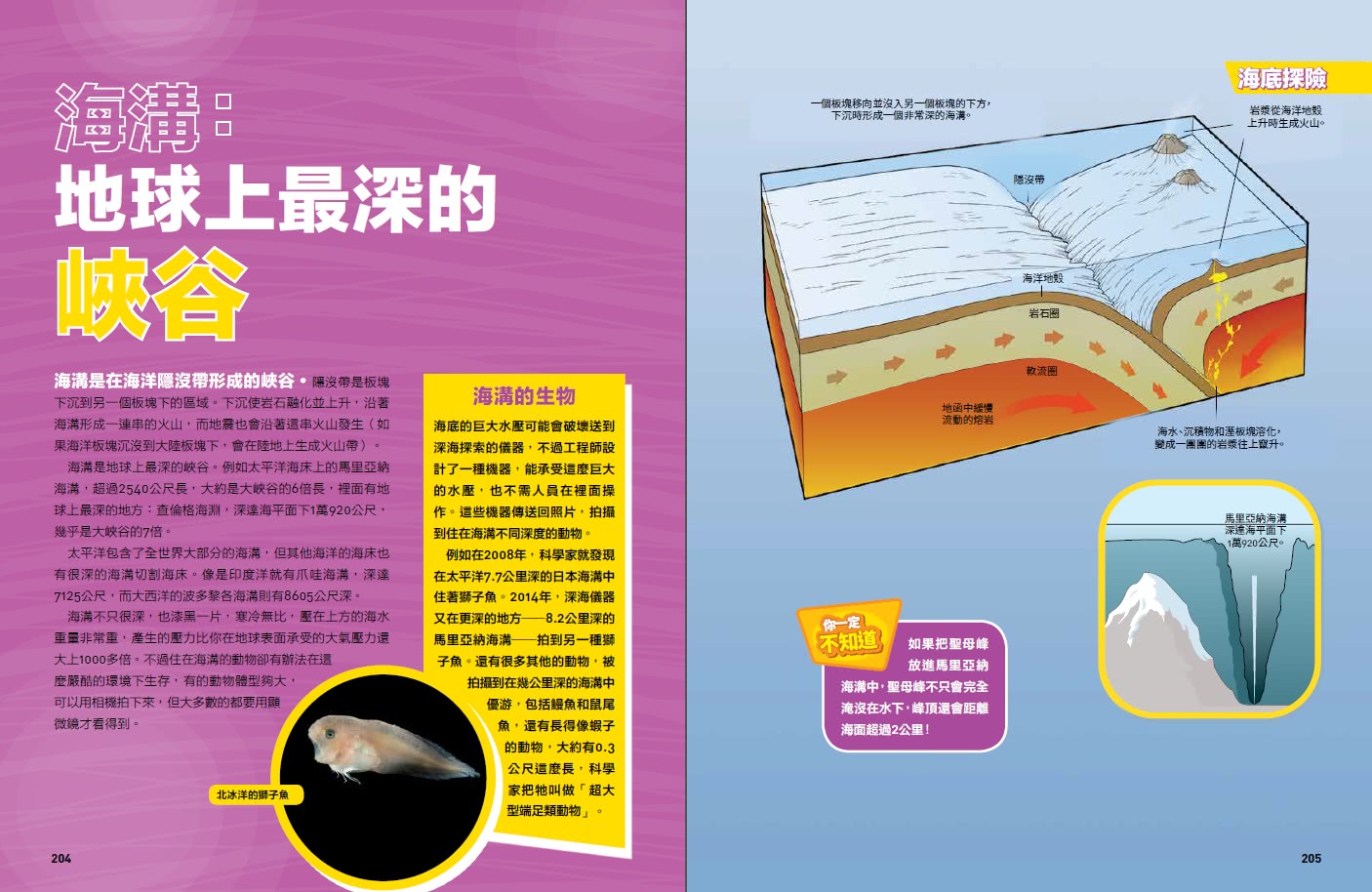國家地理 終極海洋百科（新版）：史上最完整的海洋大全