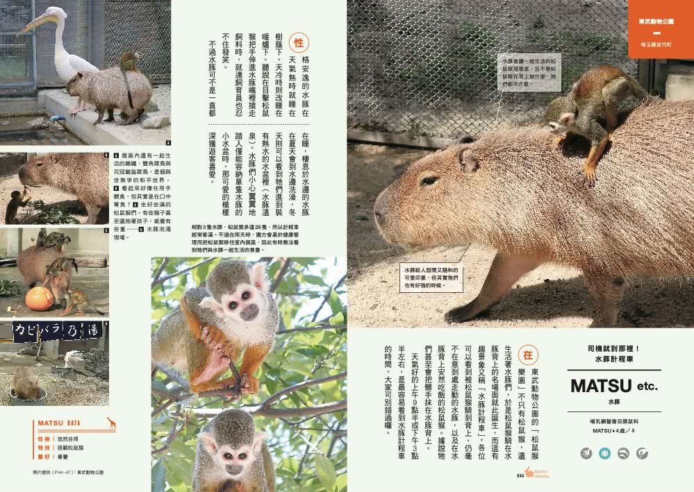 日本動物園巡禮：動物愛好者旅遊指南