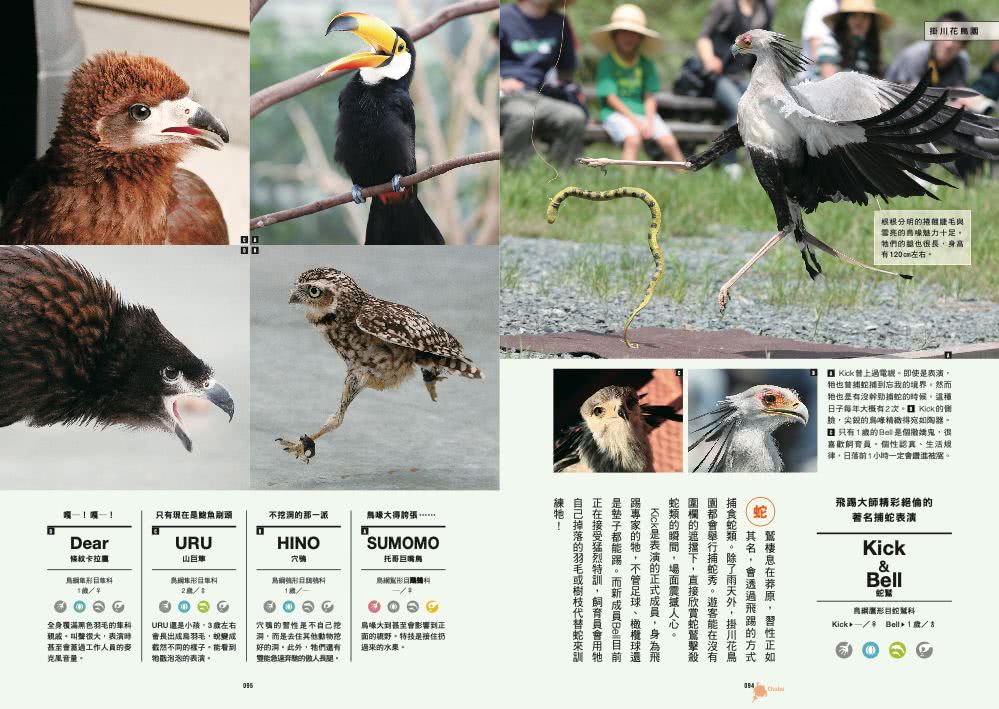 日本動物園巡禮：動物愛好者旅遊指南