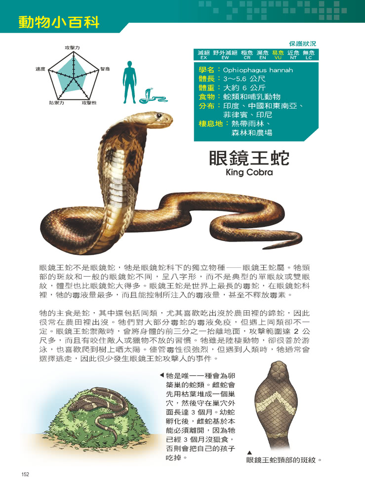 Ｘ萬獸探險隊： （9） 毒王之王 眼鏡蛇VS響尾蛇 （附學習單）