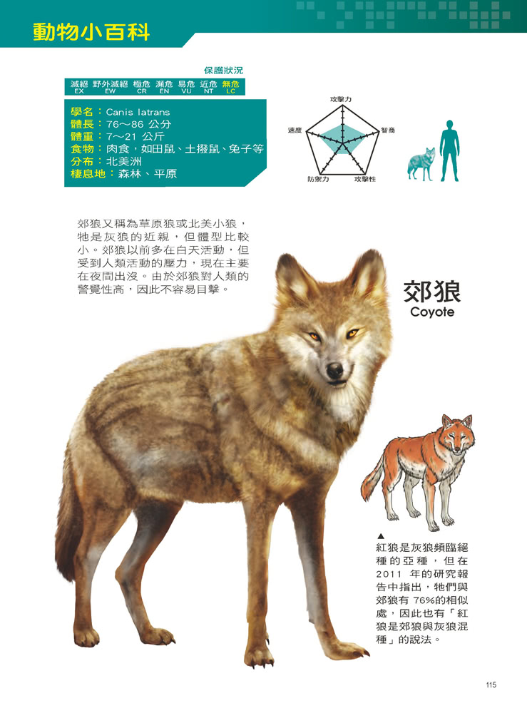 Ｘ萬獸探險隊：（8） 最強獵手 灰狼VS鬣狗（附學習單）