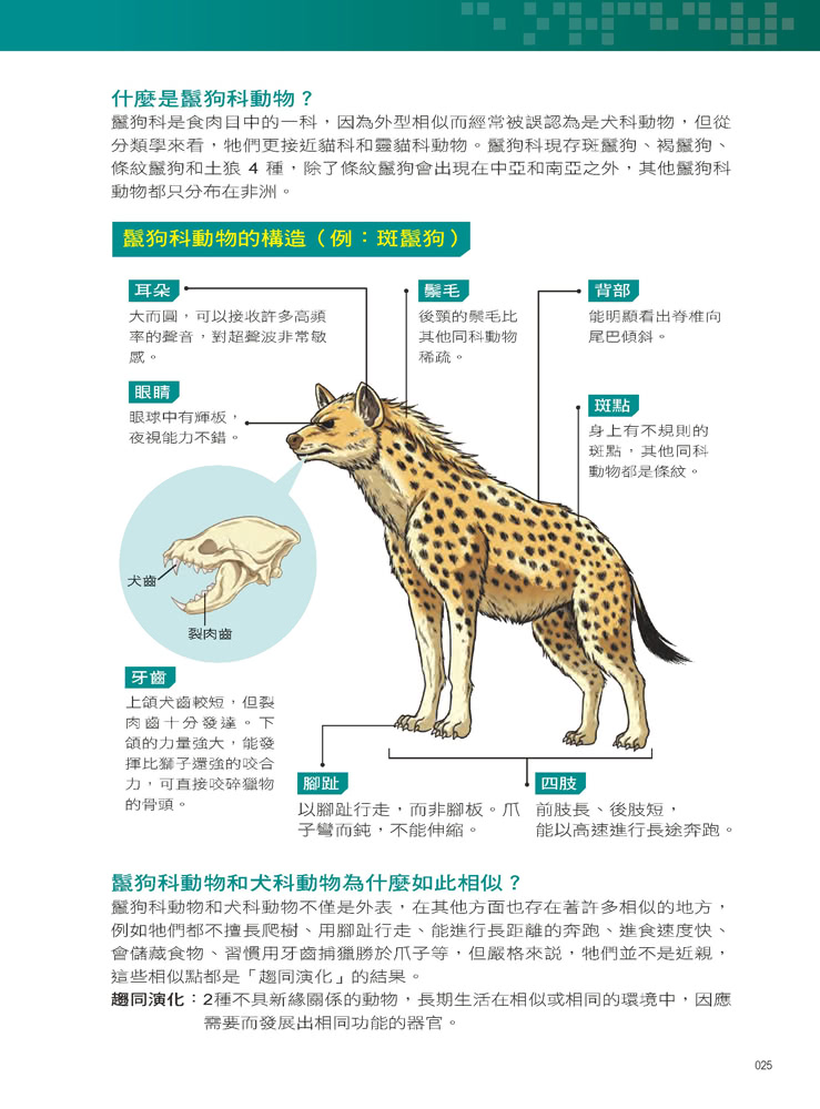 Ｘ萬獸探險隊：（8） 最強獵手 灰狼VS鬣狗（附學習單）