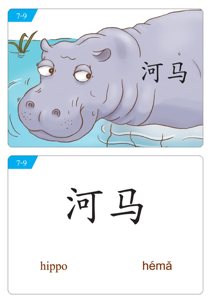 My Pocket Chinese 字卡 （簡體版）