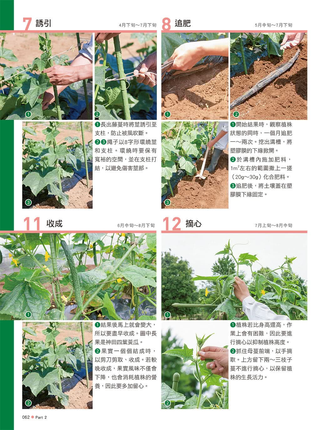 全年大豐收！好吃好種的四季蔬果：整土、播種、栽培、授粉到採種，日本園藝職人的蔬果豐收技巧全收錄！