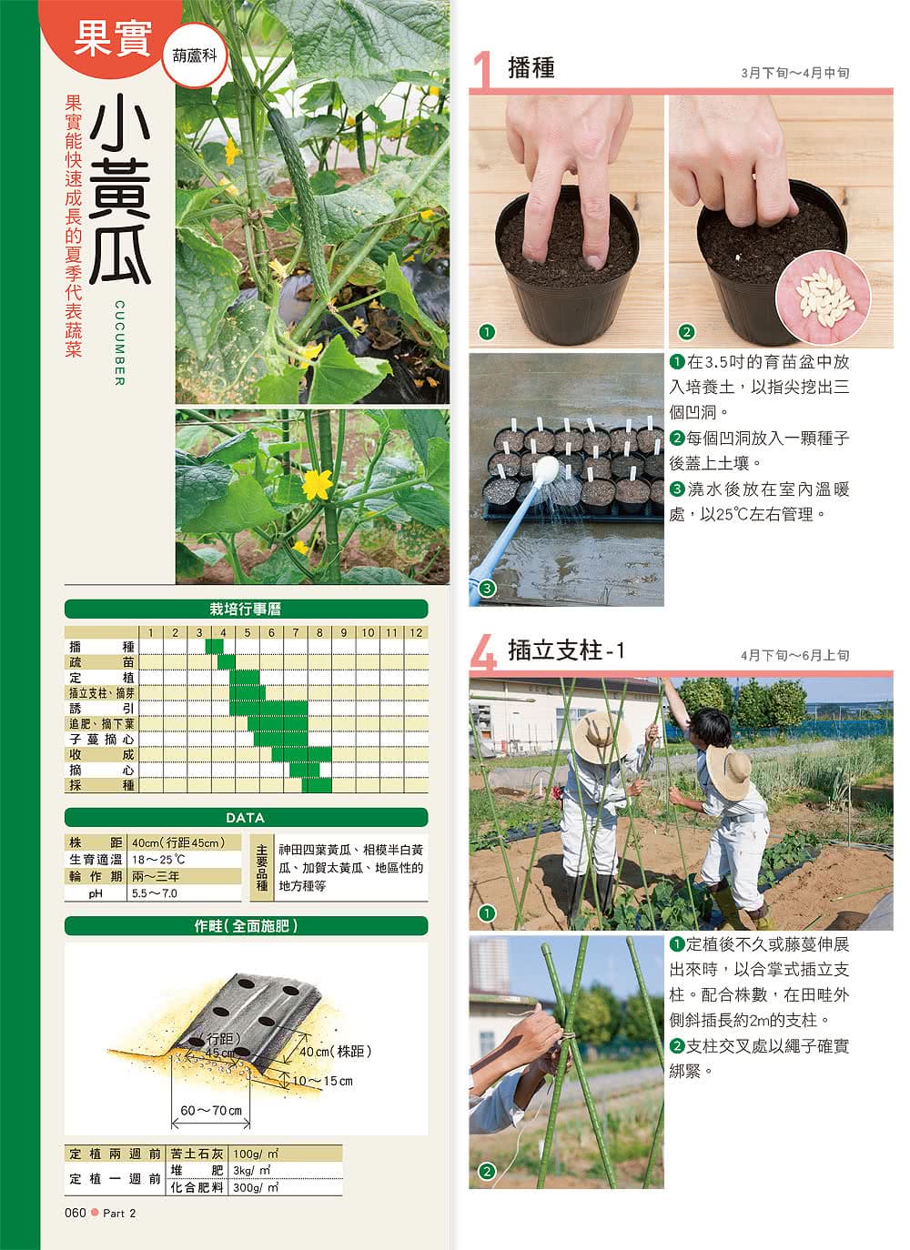 全年大豐收！好吃好種的四季蔬果：整土、播種、栽培、授粉到採種，日本園藝職人的蔬果豐收技巧全收錄！