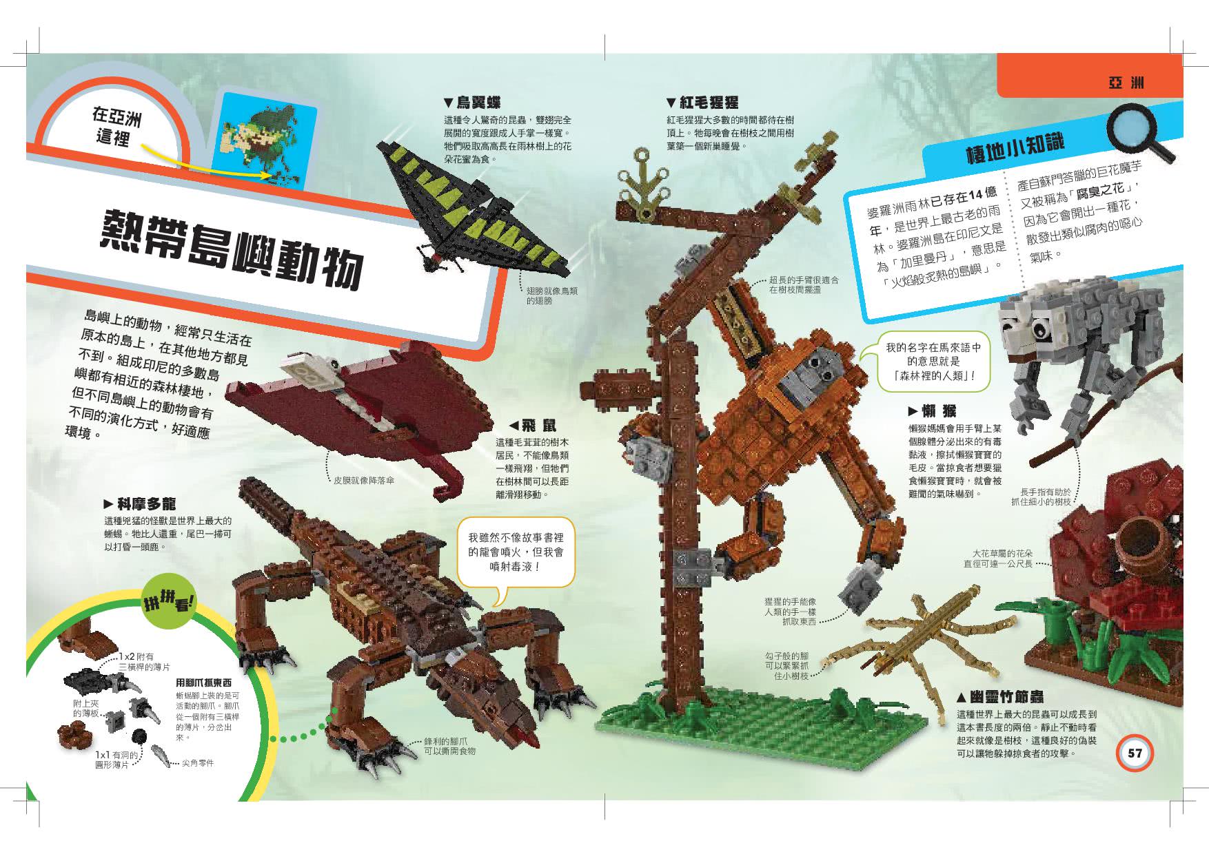 樂高創意積木系列01－立體動物星球（LEGO正式授權 內附60塊積木 可組4種動物造型）