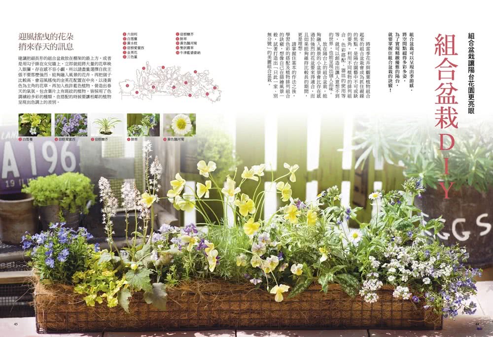 1坪小空間就能種！小陽台的療癒花園提案（暢銷修訂版）：超好種的蔬果×花卉×組合盆栽大公開