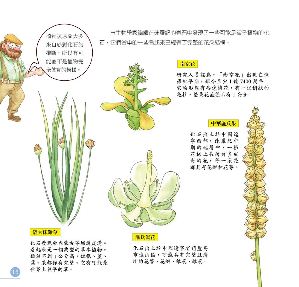我的第一本植物演化圖鑑4：花的誕生改變了世界