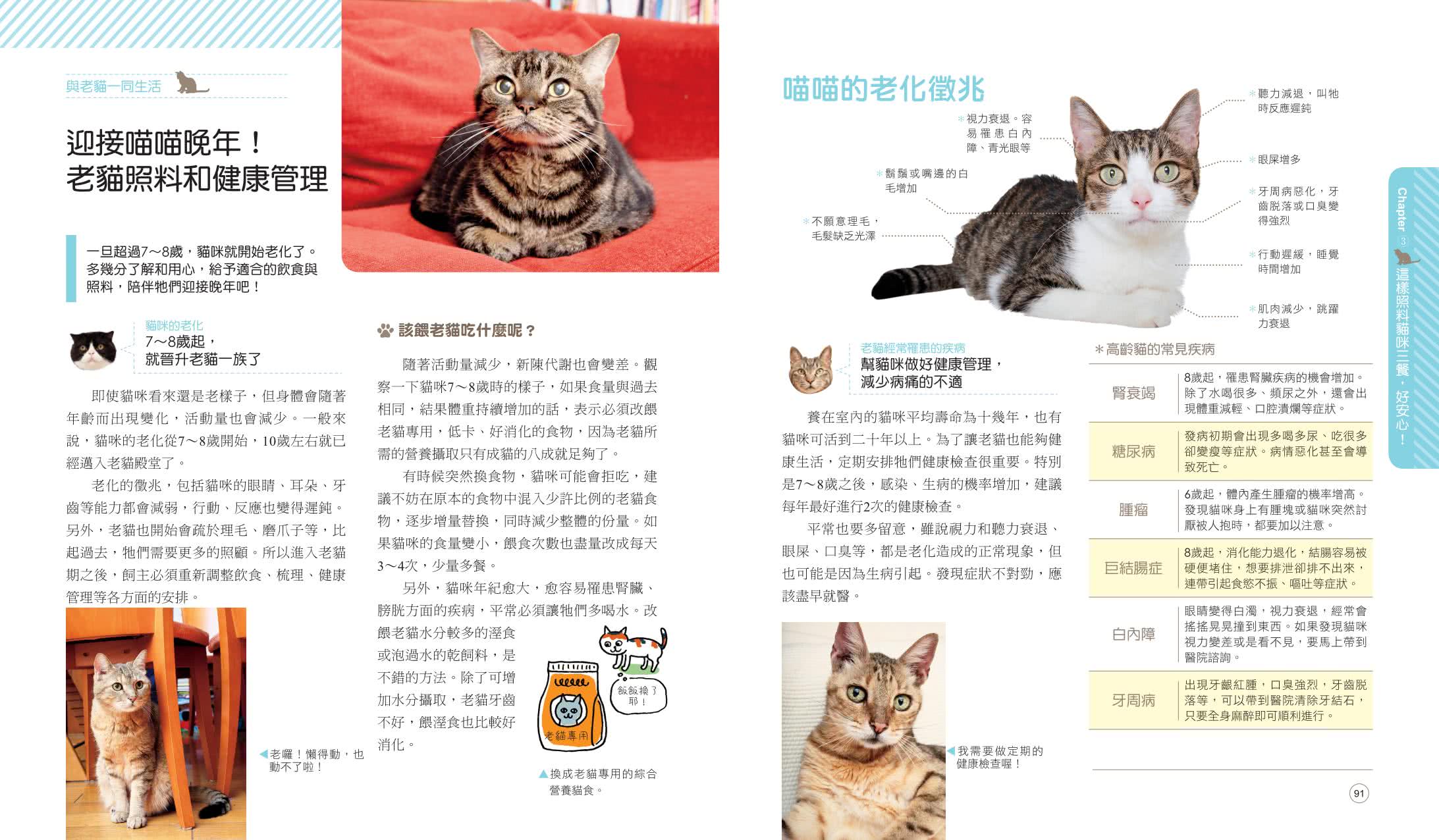 我的第一本愛貓飼養百科：「養貓專書全圖解」關於餵食、日常照料、營養補給、教養的58個愛喵大攻略！？