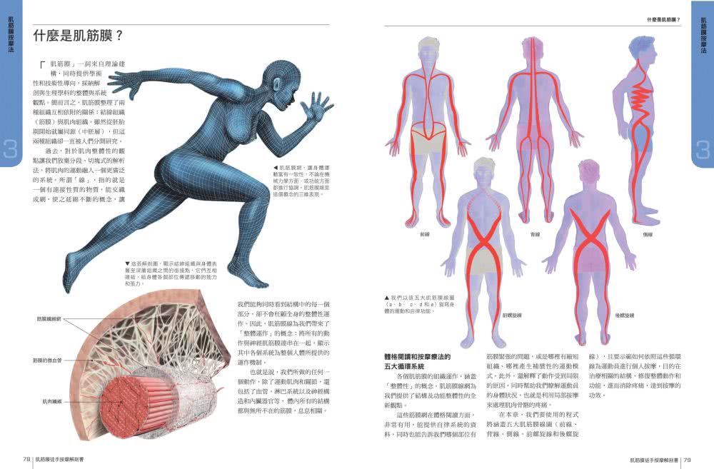 肌筋膜徒手按摩解剖書：5大部位x 10種手法x 7道程序 紓解運動疲勞＆提升競技表現的終極