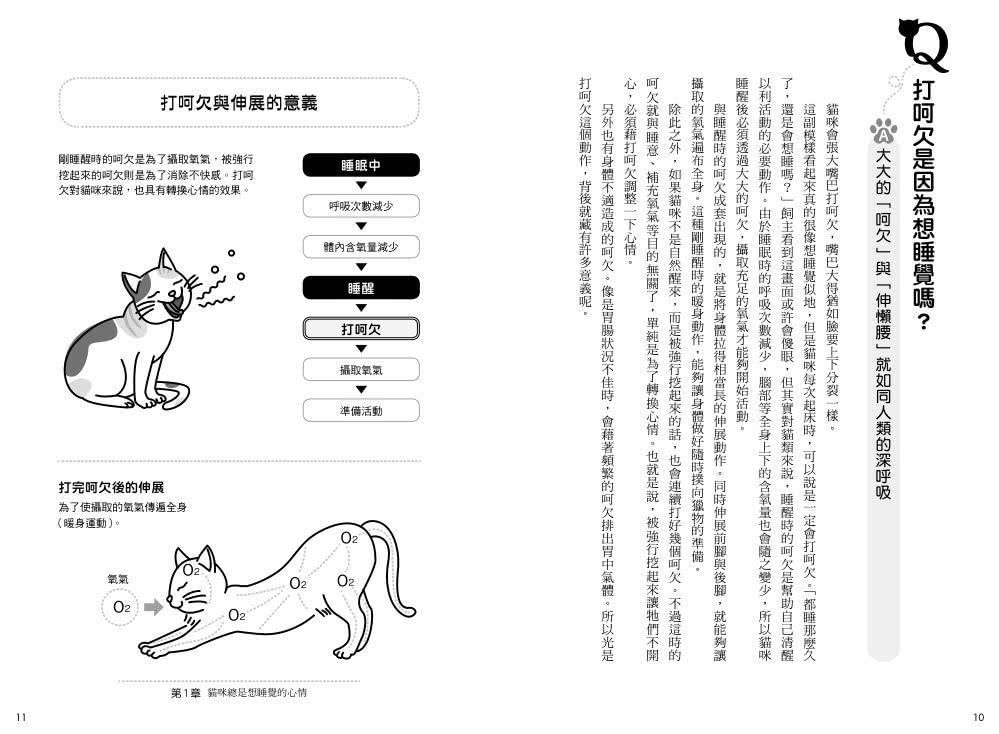貓咪服侍指南：100個服侍貓咪的小撇步