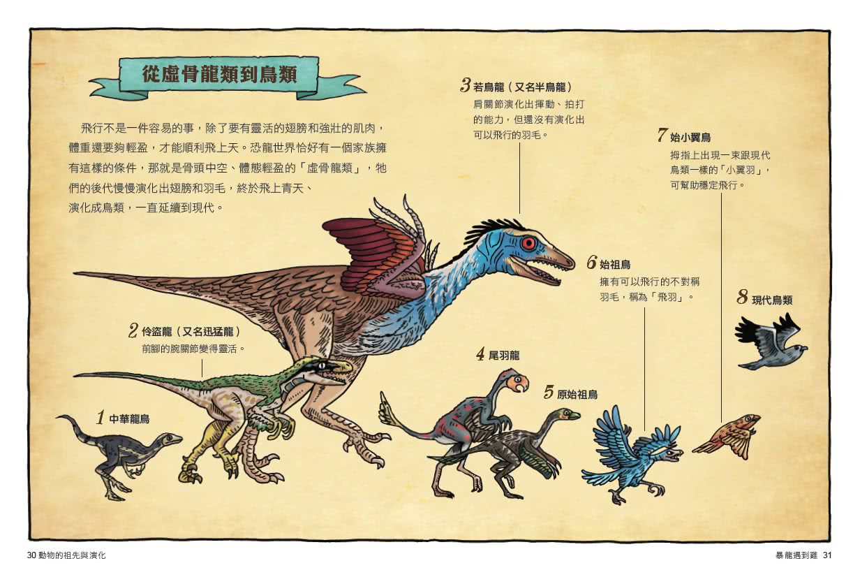 達克比辦案6：暴龍遇到雞－動物的祖先與演化