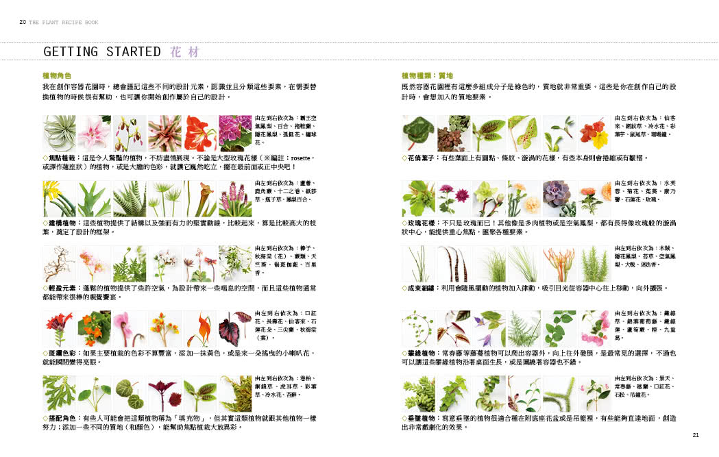 植栽時間：100種室內園藝裝飾diy