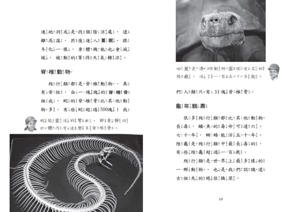 神奇樹屋小百科18：蛇與爬行類-注音版