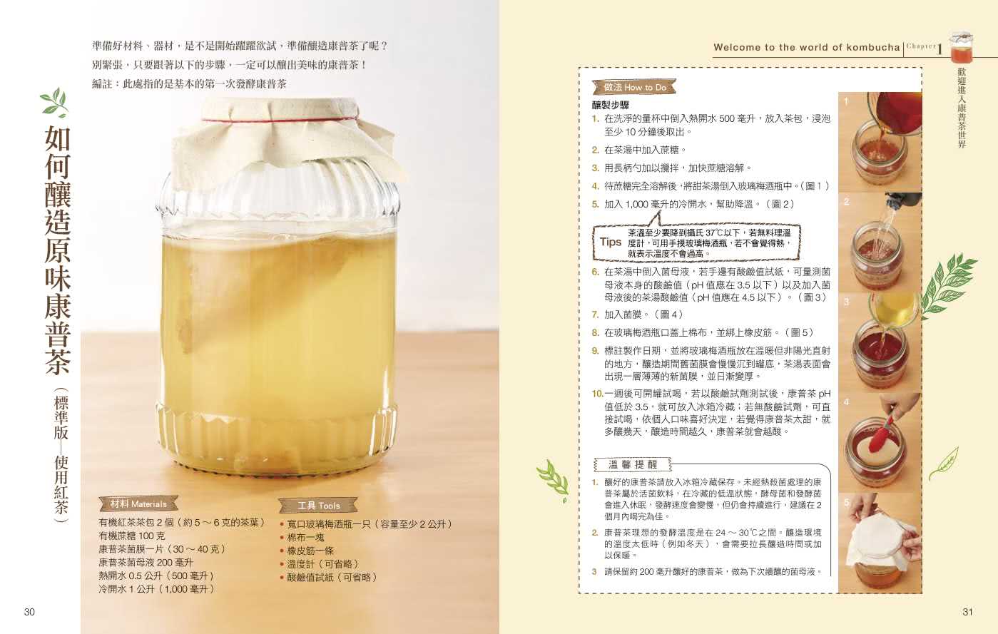 愛上康普茶:醫學博士 step by step 親授 從釀製到應用 打造健康好腸道
