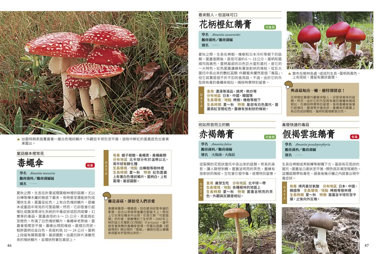 菇菇小學堂：150種菇類觀察入門圖鑑與小常識