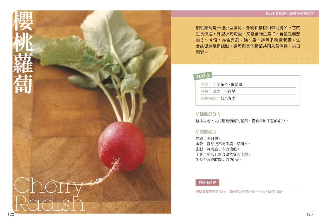 簡單種香草和蔬菜：手殘者也能養活的食用植物
